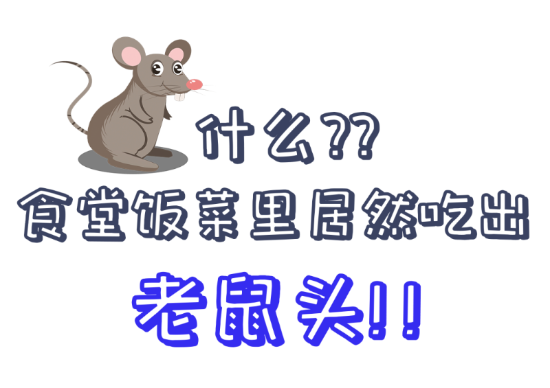 公共食堂又爆雷！饭菜吃出老鼠头？？看看球盟会(中国)新材怎么做......